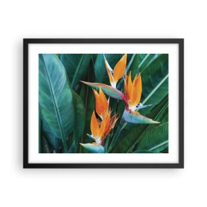 Plakat w czarnej ramie - Czy to kwiat, czy to ptak? - 50x40 cm