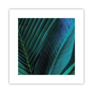 Plakat - Anatomia zieleni - 30x30 cm