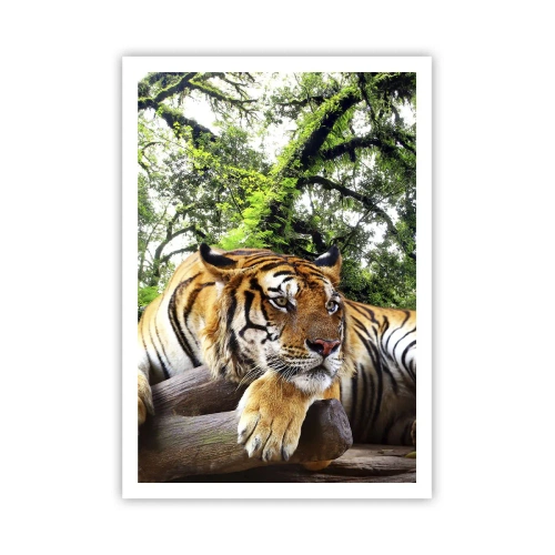 Plakat - Z wyrazami szacunku - 70x100 cm