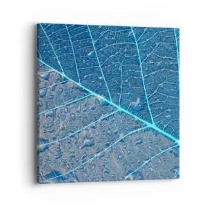 Obraz na płótnie - Życie w błękicie - 40x40 cm