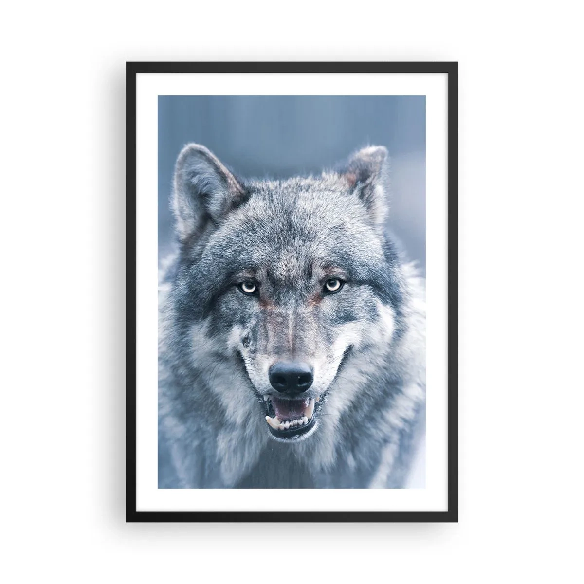 Plakat w czarnej ramie - Portret wilka na tle zimowego krajobrazu - 50x70cm - Podejmiesz wyzwanie? - Nowoczesna dekoracja ścienna do salonu i sypialni ARTTOR