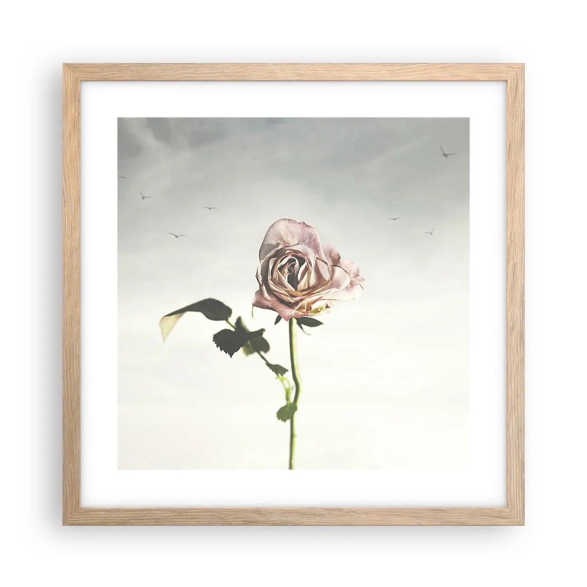 Plakat w ramie jasny dąb - Powitanie wiosny - 40x40 cm
