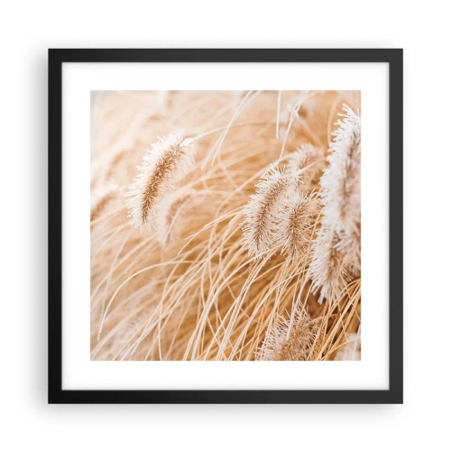 Plakat w czarnej ramie - Złoty szelest traw - 40x40 cm