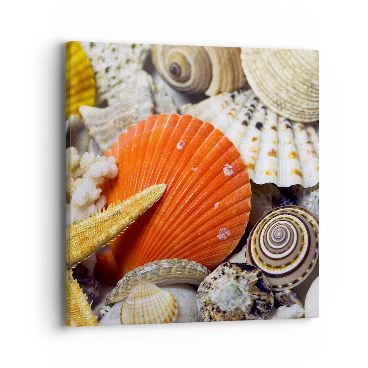 Obraz na płótnie - Skarby oceanu - 40x40 cm