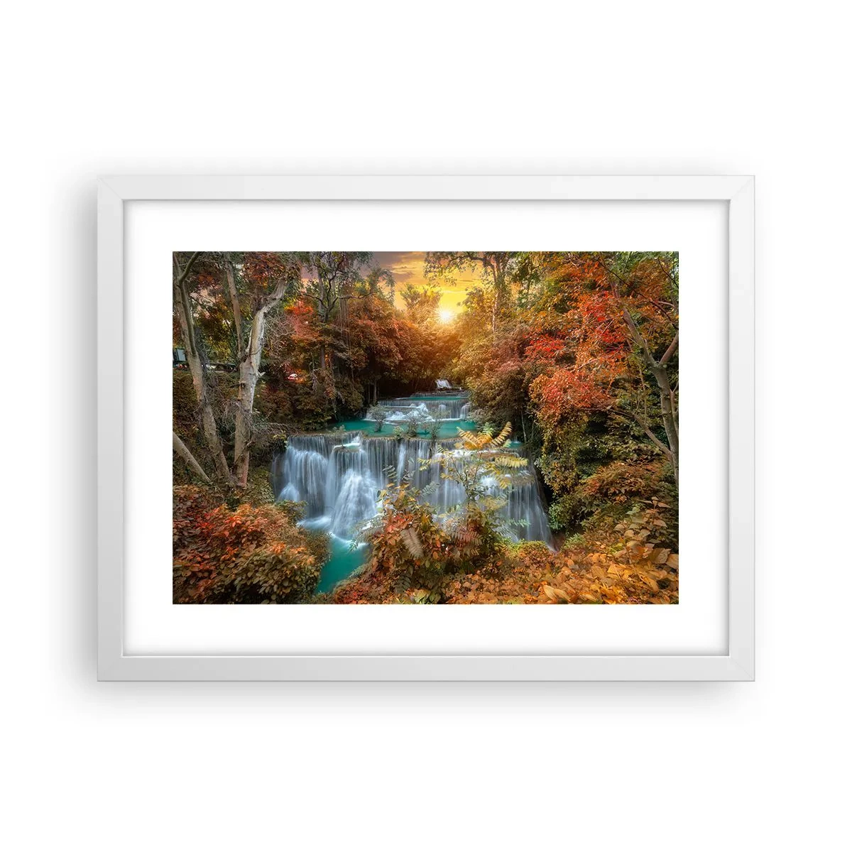 Plakat w białej ramie - Ukryty skarb lasu - 40x30 cm