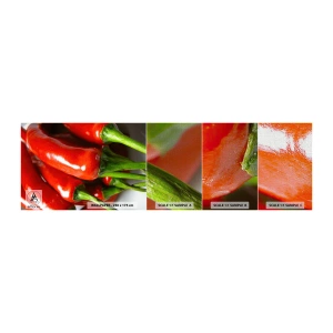 Fototapeta Próbka Premium Canvas - Soczyste, błyszczące, gładkie - Gastronomia, Papryka, Warzywa - 100x30 cm
