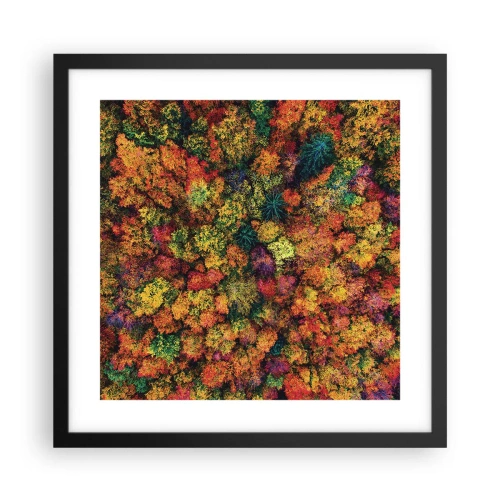 Plakat w czarnej ramie - Bukiet jesiennych drzew - 40x40 cm