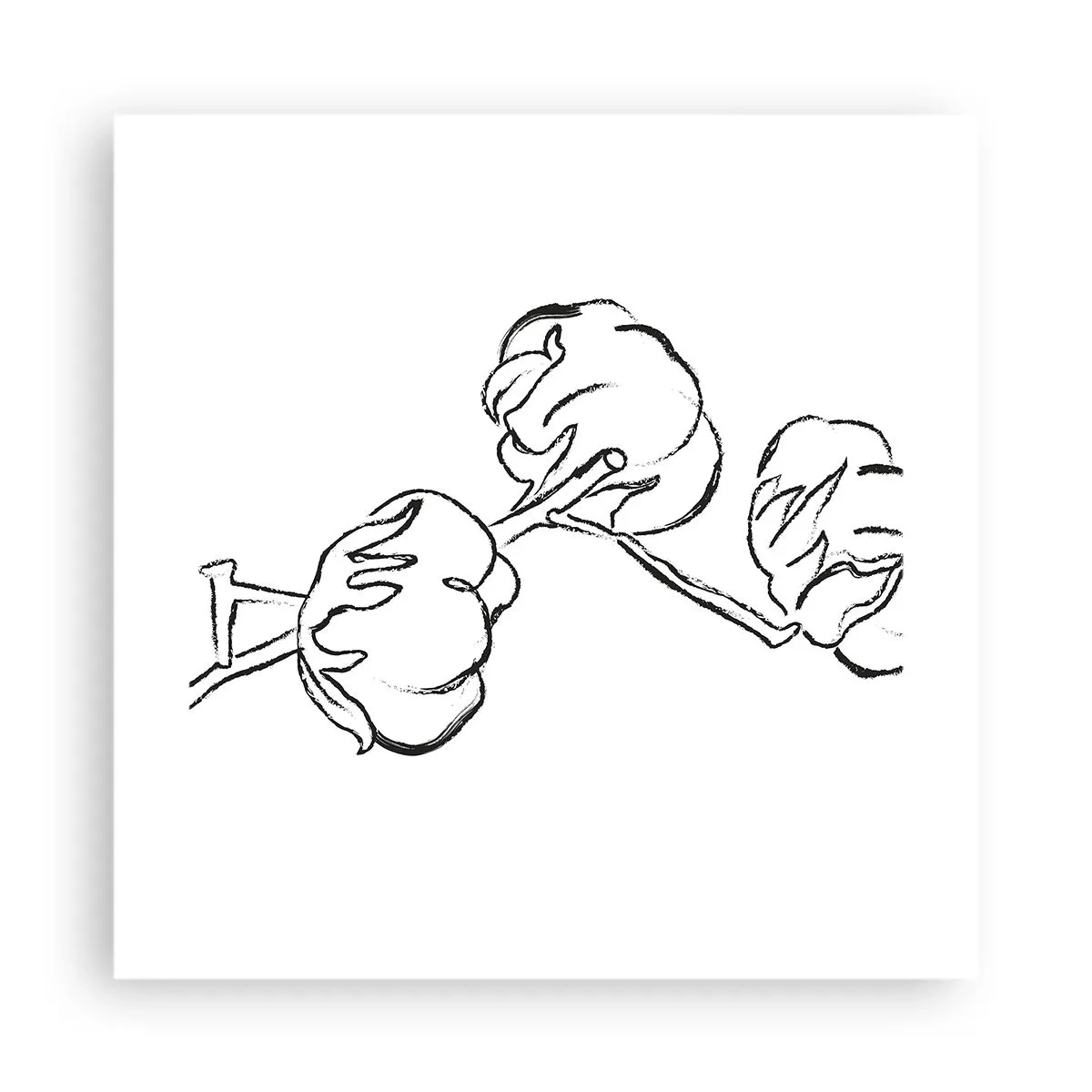 Plakat - Bawełniany puch - 40x40 cm
