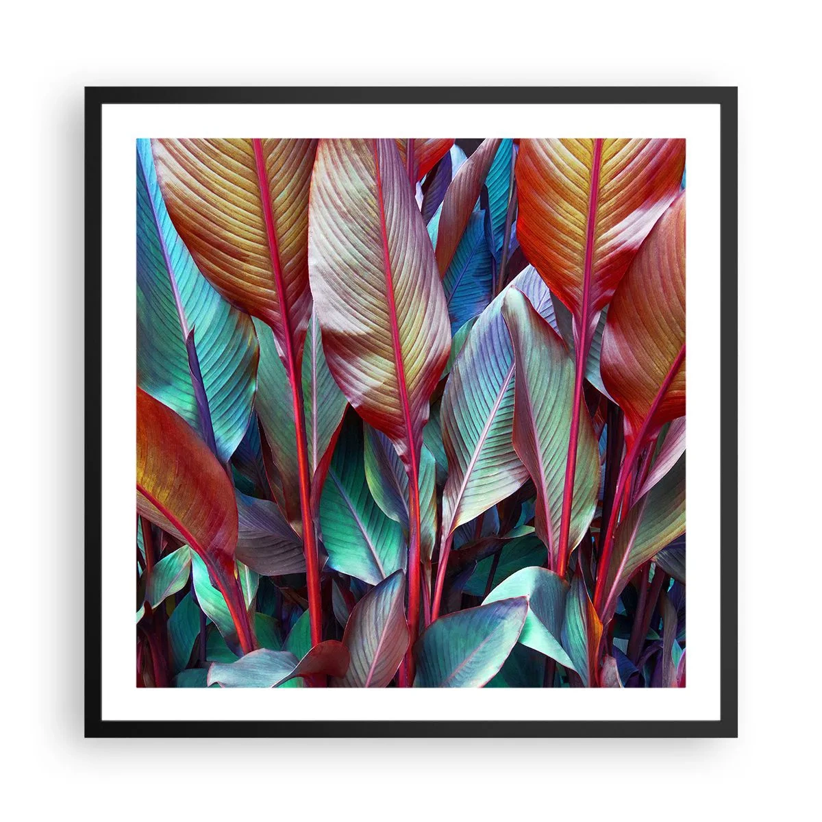 Plakat w czarnej ramie - Kolorowy gąszcz - 60x60 cm