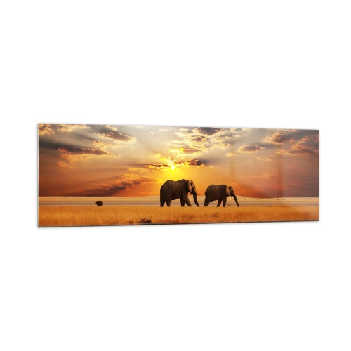 Obraz na szkle - Słonie na sawannie przy zachodzie słońca - 160x50cm - Rodzinna przechadzka - Nowoczesna dekoracja ścienna do salonu i sypialni ARTTOR