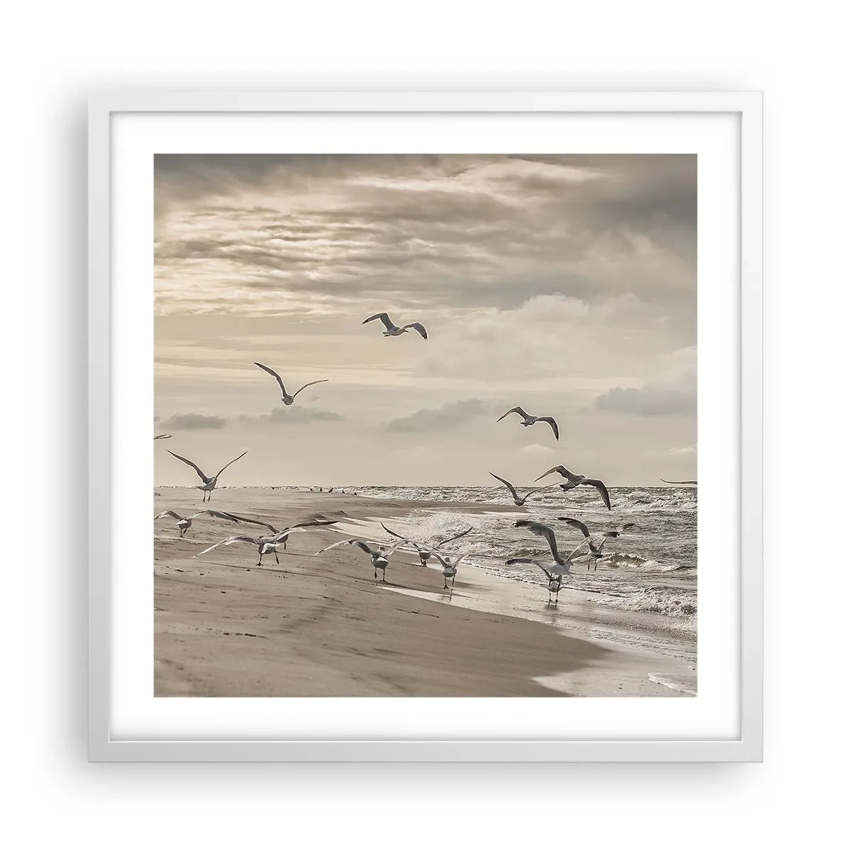 Plakat w białej ramie - Morza szum, ptaków śpiew - 50x50 cm