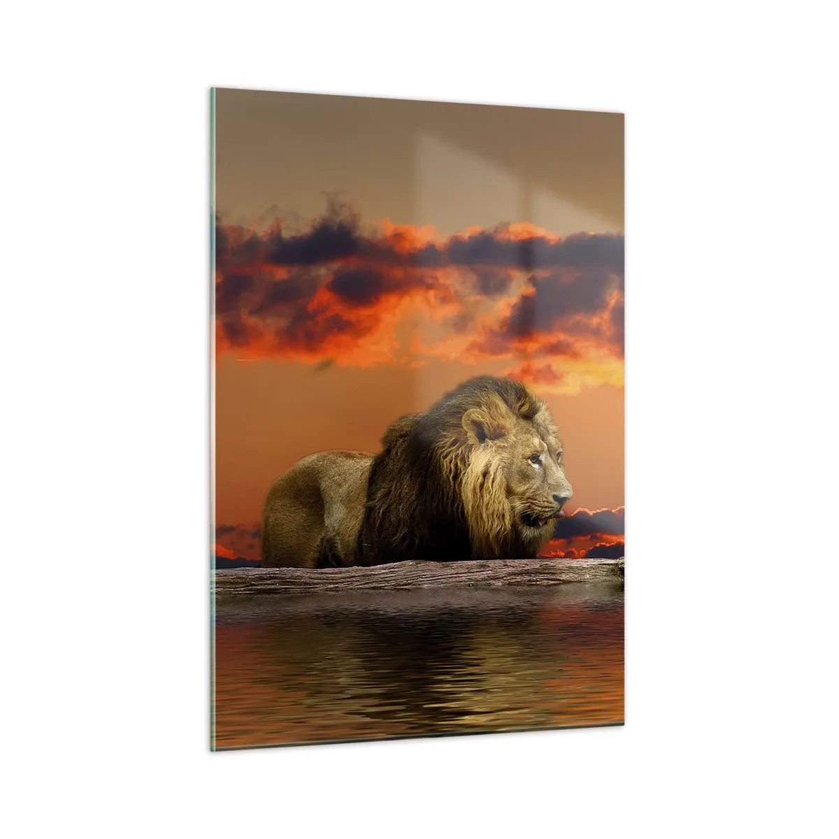 Obraz na szkle - Lew na tle zachodzącego słońca - 50x70cm - Król natury - Nowoczesna dekoracja ścienna do salonu, kuchni i sypialni ARTTOR