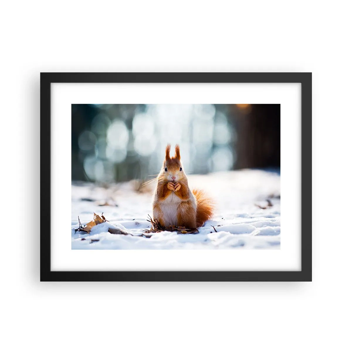 Plakat w czarnej ramie - I co tak patrzysz? - 40x30 cm