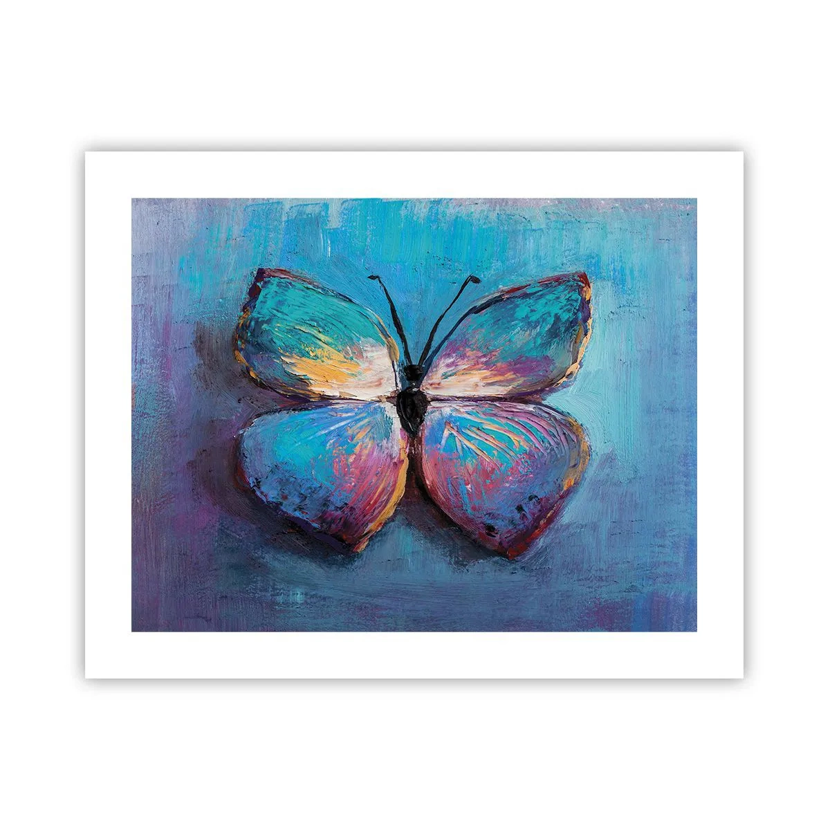 Plakat - W pełnej krasie - 50x40 cm