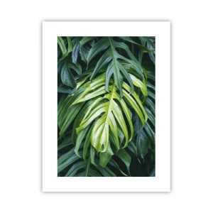 Plakat - Zanurzyć się w świeżości - 30x40 cm