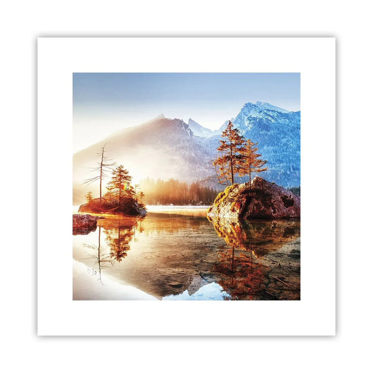 Plakat - Natura w nowym świetle - 30x30 cm