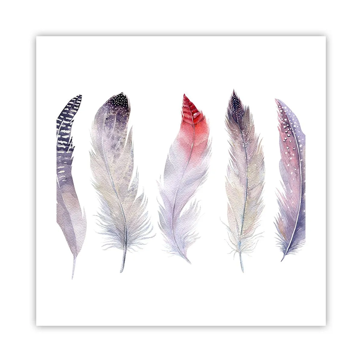 Plakat - Delikatne jak różnobarwna mgła - 50x50 cm