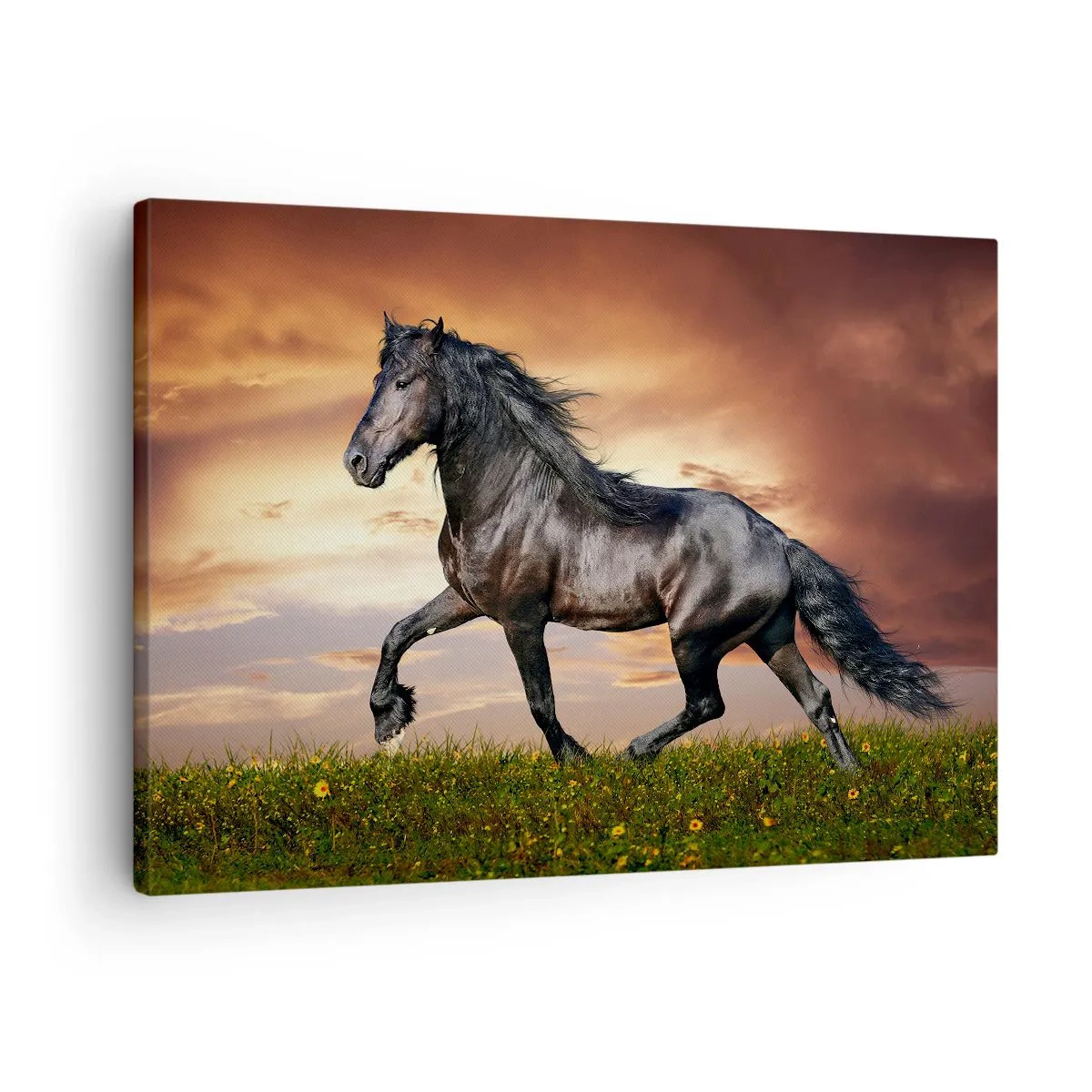 Obraz na płótnie - Czarny koń galopujący na tle zachodzącego słońca - 70x50cm - Czarny książę - Nowoczesna dekoracja ścienna do salonu i sypialni ARTTOR