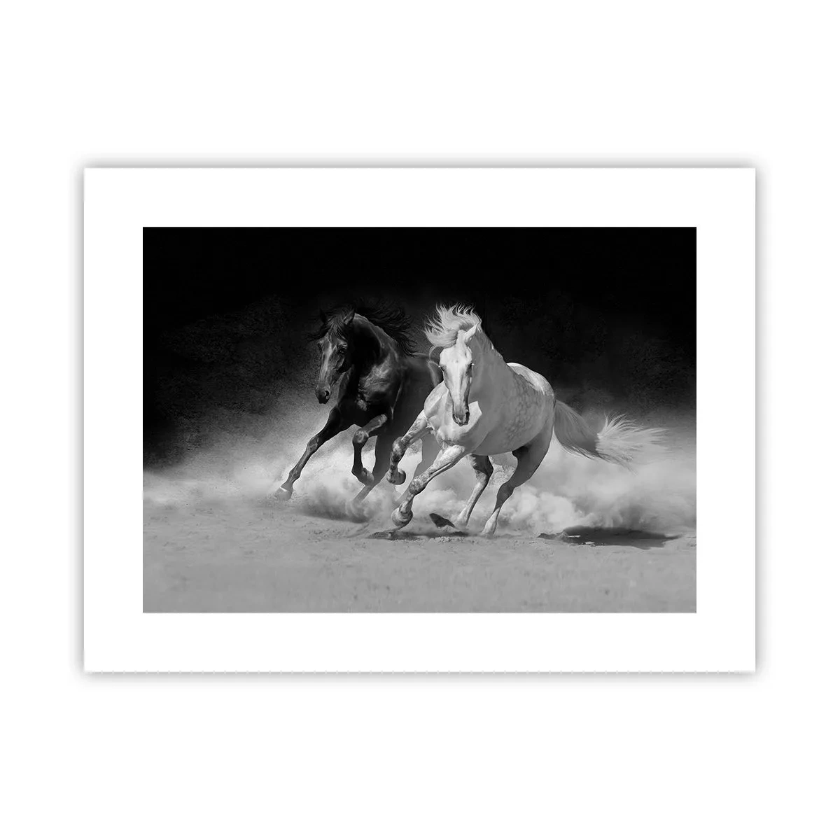 Plakat - Galop wolności - 40x30 cm