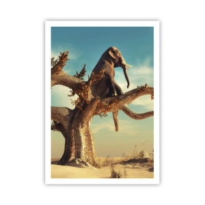 Plakat - Nowy punkt widzenia - 70x100 cm