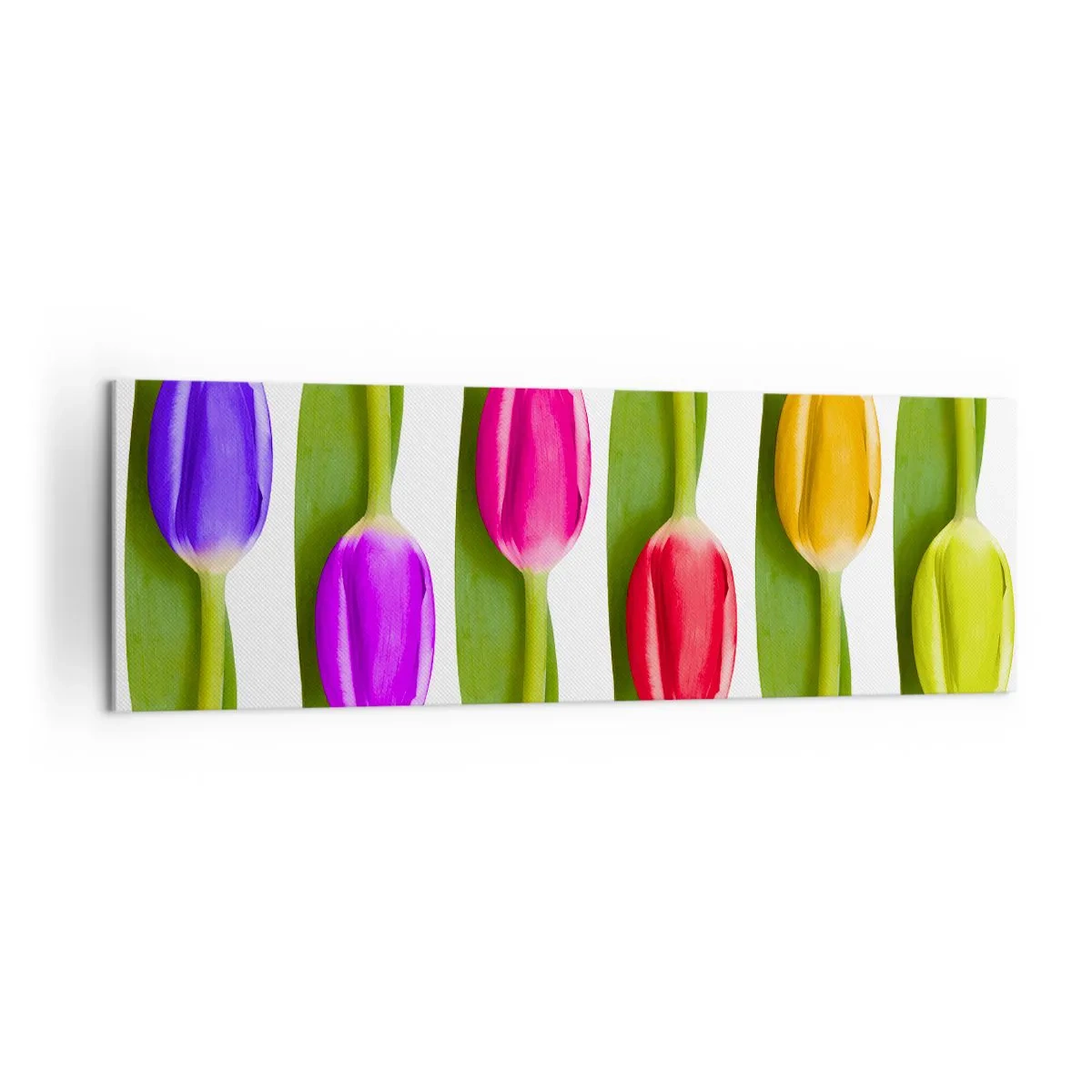 Obraz na płótnie - Różnokolorowe tulipany ułożone w rzędzie na białym tle - 160x50cm - Tęczowa kompozycja - Nowoczesna dekoracja ścienna do salonu i sypialni ARTTOR