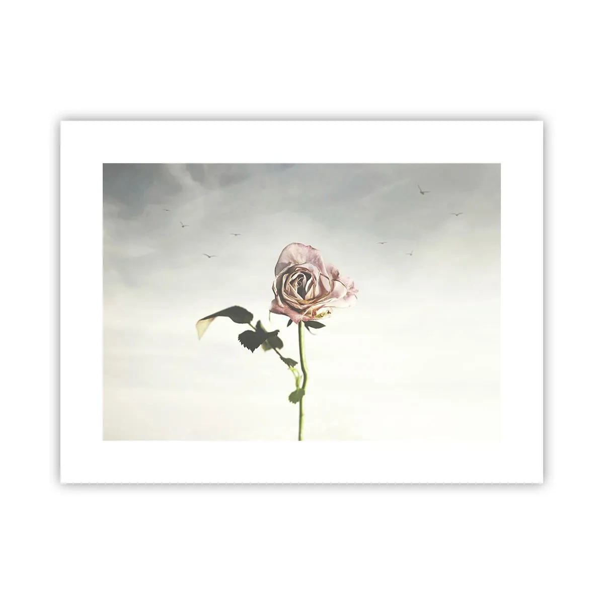 Plakat - Powitanie wiosny - 40x30 cm