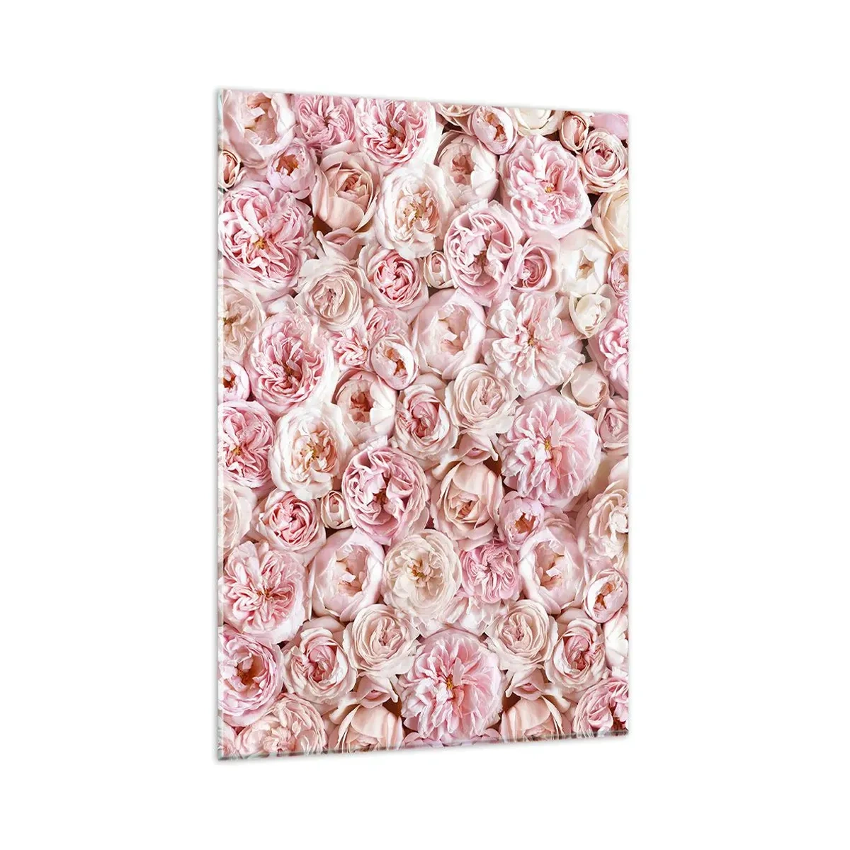 Obraz na szkle - Delikatne róże w odcieniach różu na całej powierzchni - 80x120cm - Usłane różami - Nowoczesna dekoracja ścienna do salonu i sypialni ARTTOR