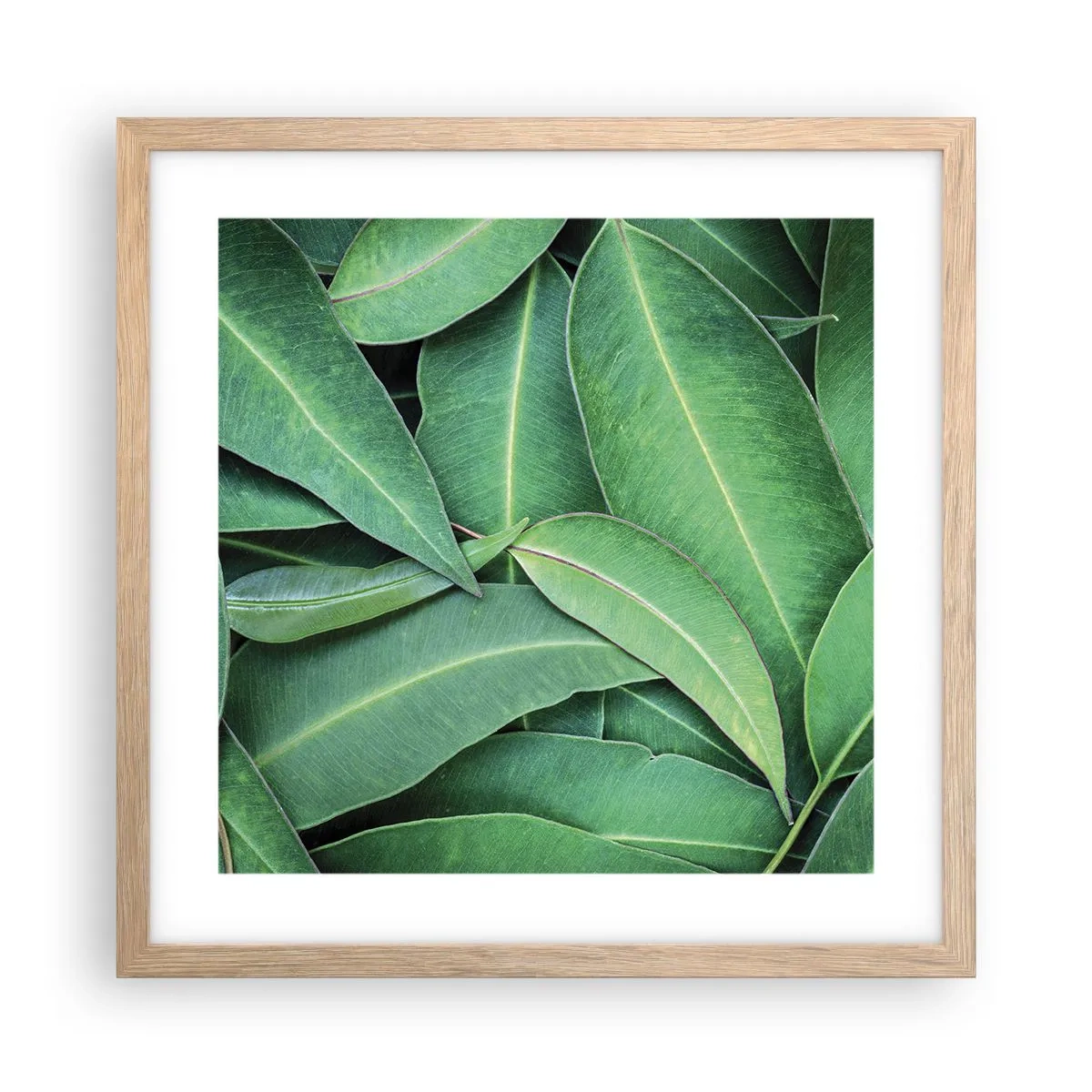 Plakat w ramie jasny dąb - Soczyste i świeże - 40x40 cm