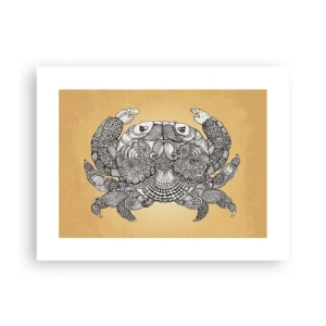 Plakat - Opowieści Pana Kraba - 40x30 cm