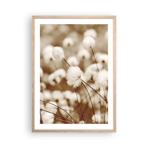 Plakat w ramie jasny dąb - Puszysty łan - 50x70 cm