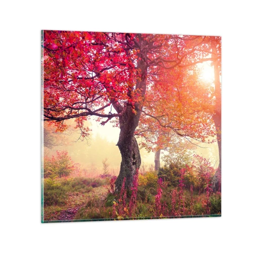 Obraz na szkle - Szał rozkwitu - 60x60 cm