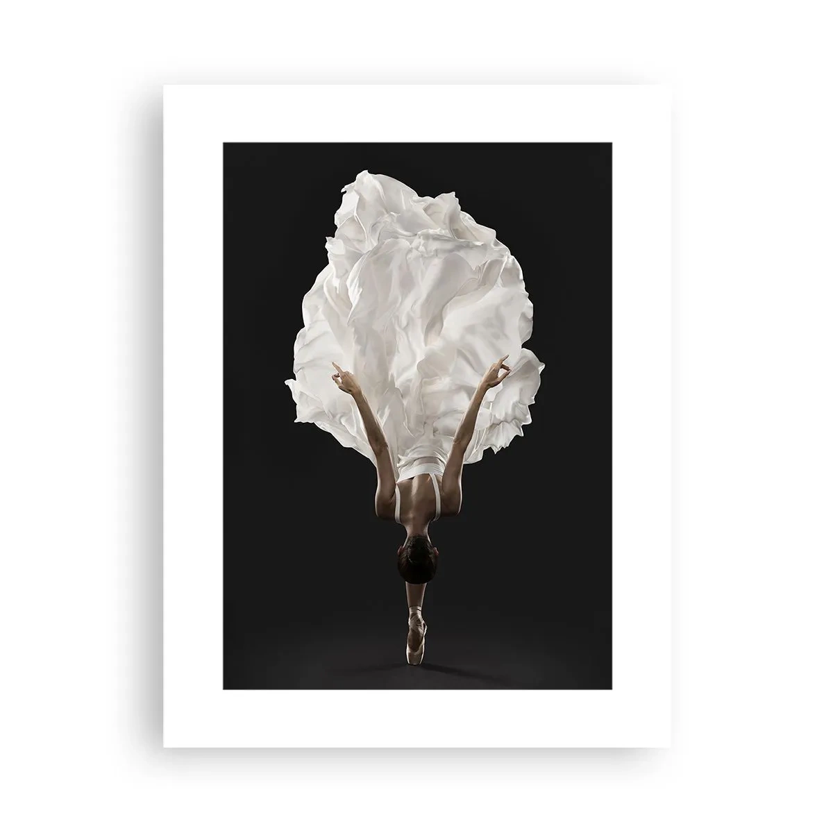 Plakat - Niezwykłe pas - 30x40 cm