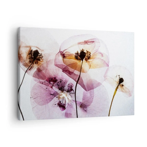 Obraz na płótnie - Delikatne przezroczyste kwiaty w pastelowych odcieniach - 70x50cm - Kwiatów ciała przezrocze - Nowoczesna dekoracja ścienna do salonu i sypialni ARTTOR
