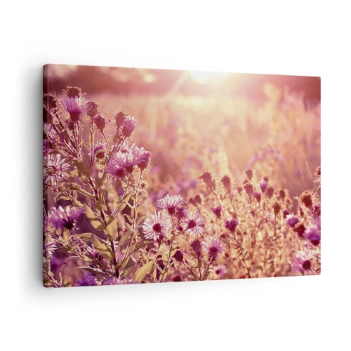 Obraz na płótnie - Łąka w świetle zachodzącego słońca - 70x50cm - Przed odejściem lata - Nowoczesna dekoracja ścienna do salonu i sypialni ARTTOR