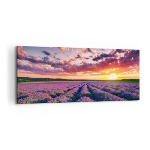 Obraz na płótnie - Lawendowy świat - 100x40 cm