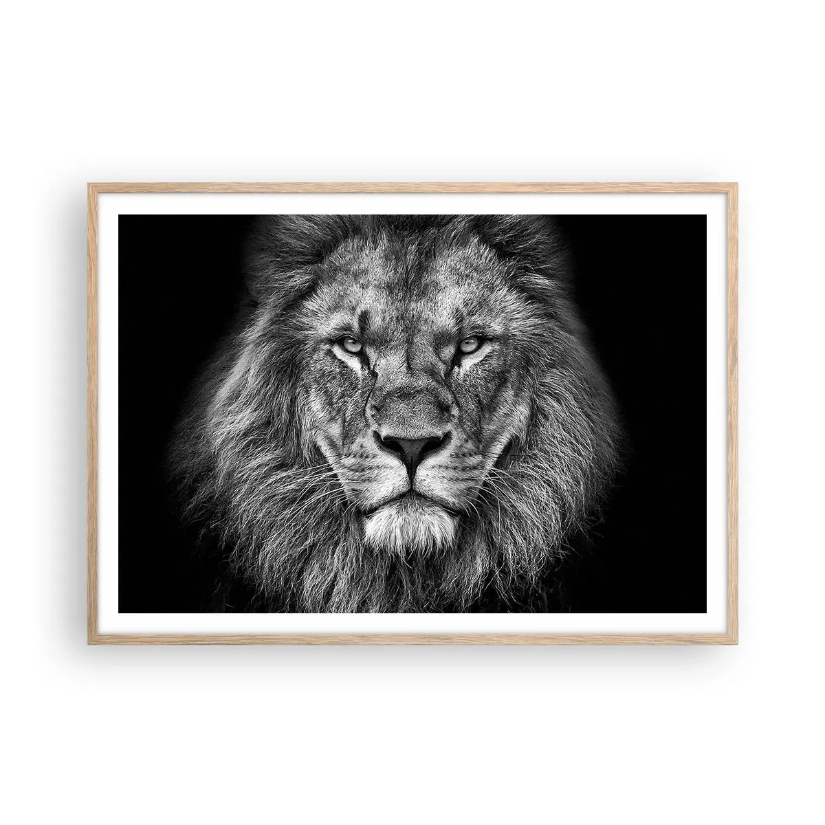 Plakat w ramie jasny dąb - W stroju koronacyjnym - 100x70 cm