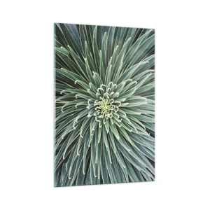 Obraz na szkle - Symetryczny układ zielonych liści przypominający gwiazdę - 70x100cm - Narodziny gwiazdy - Nowoczesna dekoracja ścienna do salonu i sypialni ARTTOR