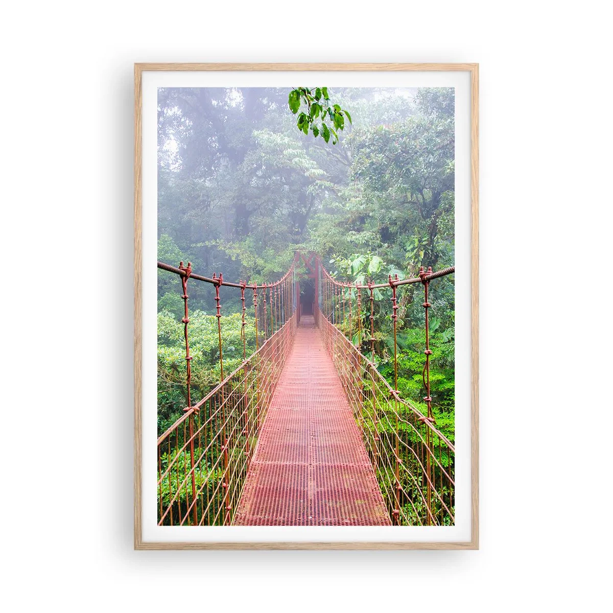 Plakat w ramie jasny dąb - Zawieszony nad koronami - 70x100 cm