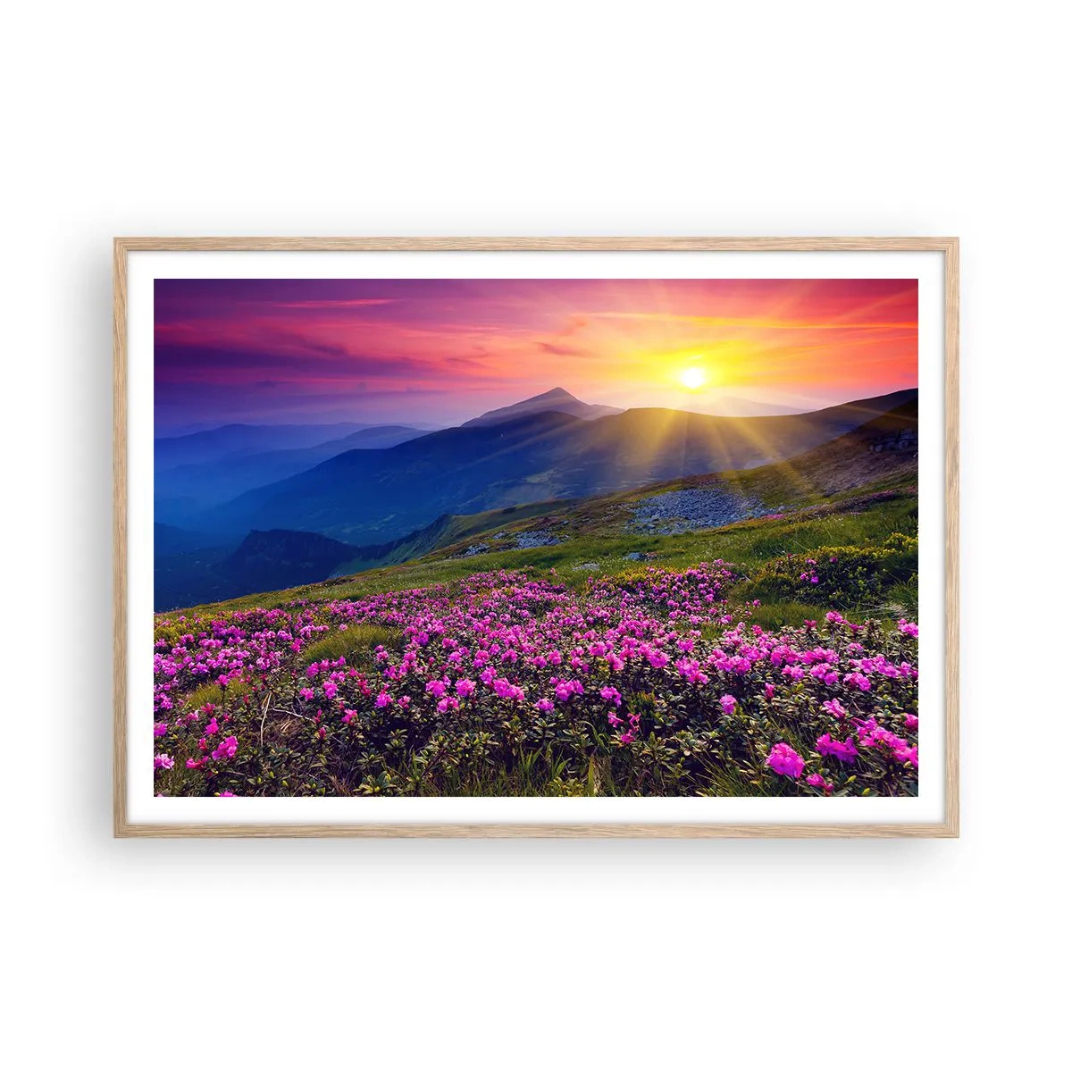 Plakat w ramie jasny dąb - … A dokoła pachnie kosodrzewina i wonieją zioła - 100x70 cm