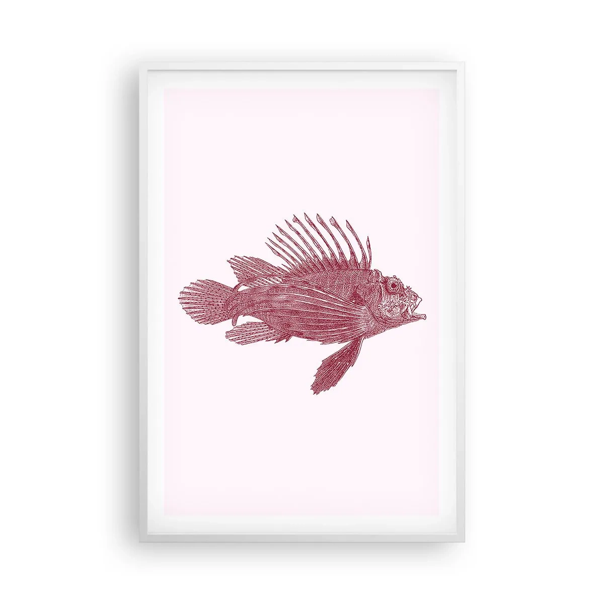 Plakat w białej ramie - Mieszkanka egzotycznych wód - 61x91 cm