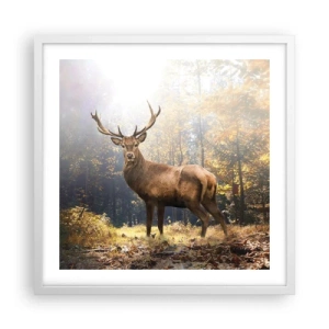 Plakat w białej ramie - W pełnym majestacie - 50x50 cm