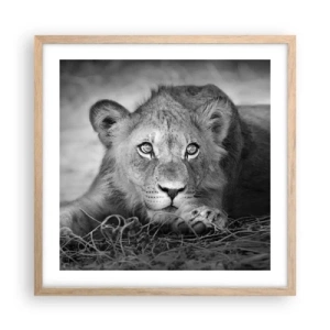 Plakat w ramie jasny dąb - Królewskie szczenię - 50x50 cm