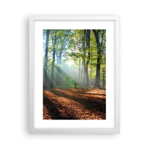 Plakat w białej ramie - Blaski i cienie - 30x40 cm