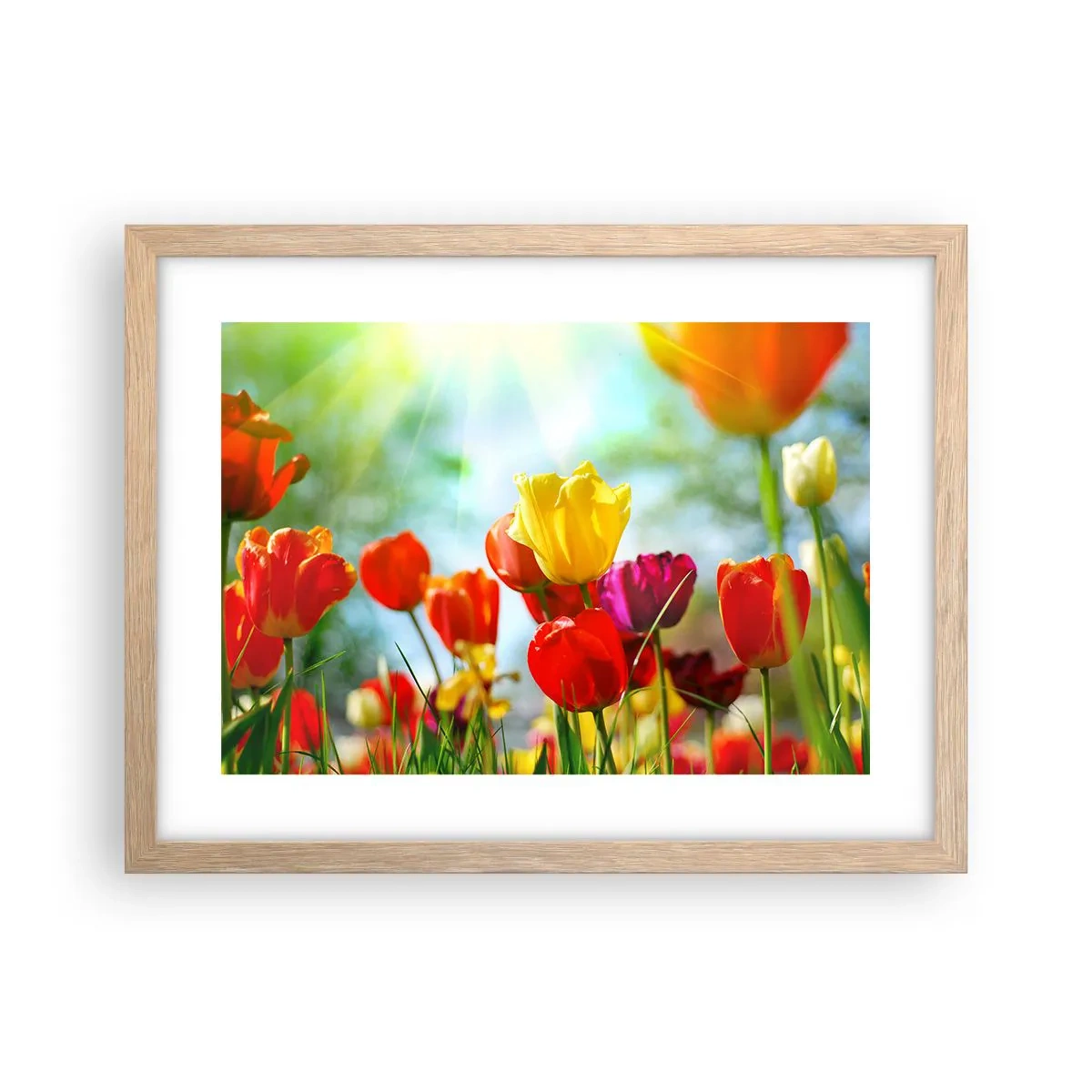 Plakat w ramie jasny dąb - Wszystkie barwy słońca - 40x30 cm