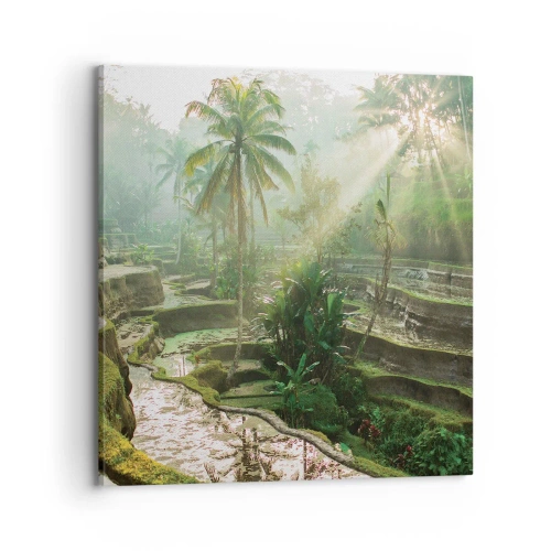 Obraz na płótnie - Dorastać w słońcu - 70x70 cm