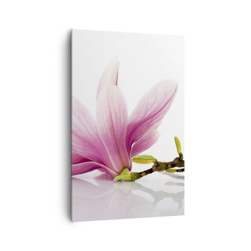Obraz na płótnie - Delikatne różowe magnolie na białym tle - 80x120cm - Delikatne jak powiew wiosny - Nowoczesna dekoracja ścienna do salonu i sypialni ARTTOR