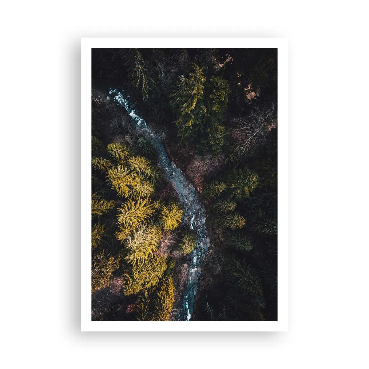 Plakat - Szybko, coraz szybciej - 70x100 cm