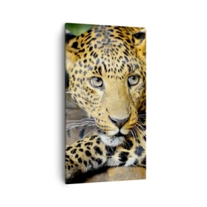 Obraz na płótnie - Nie bój się, podejdź - 45x80 cm