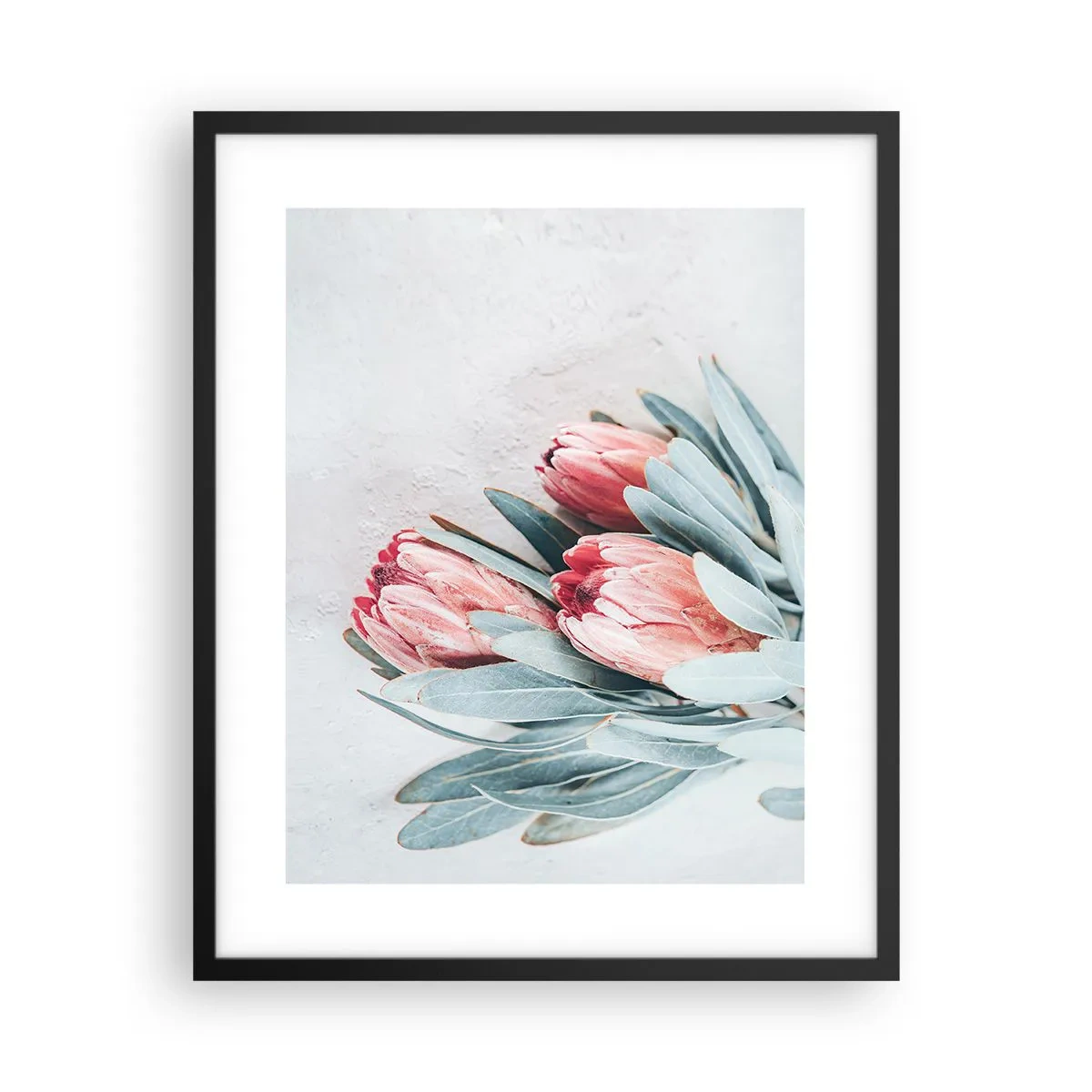 Plakat w czarnej ramie - Zawstydzone własną urodą - 40x50 cm