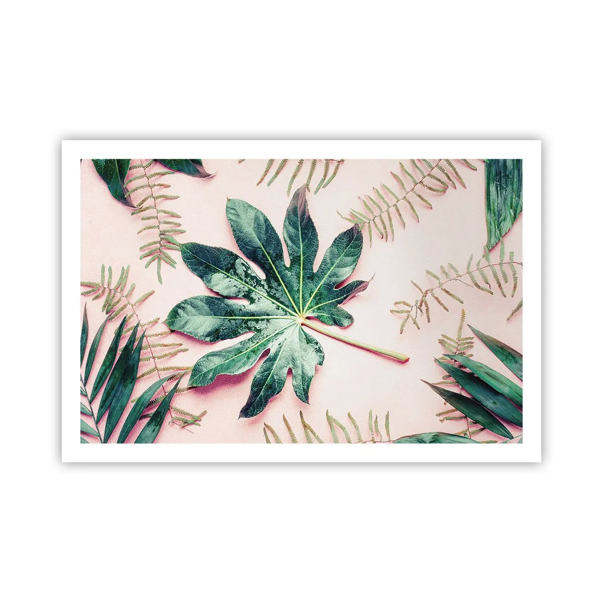 Plakat - Studium zieleni na różowym tle - 91x61 cm